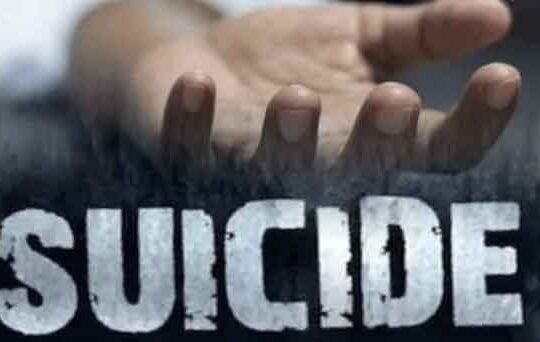 Jharkhand districts news | jharkhand latest news | jharkhand latest hindi news | jharkhand news box bharat