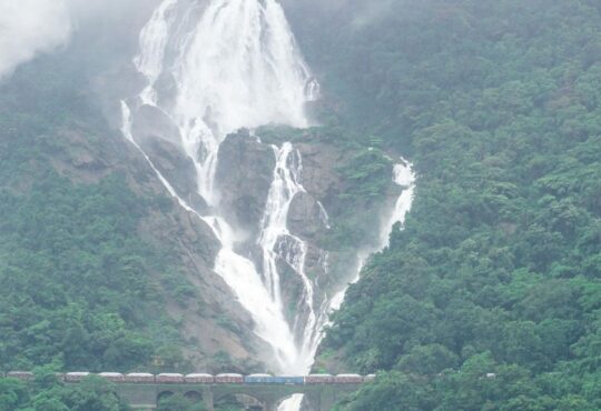 national news | national latest news | national latest hindi news | national news box bharat