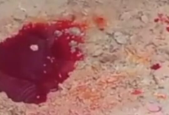 Jharkhand districts news | jharkhand latest news | jharkhand latest hindi news | jharkhand news box bharat