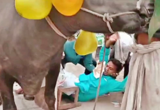 national news | national latest news | national latest hindi news | national news box bharat