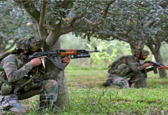Jharkhand districts news | jharkhand latest news | jharkhand latest hindi news | jharkhand news box bharat