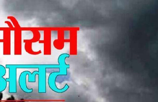 Jharkhand districts news | jharkhand latest news | jharkhand latest hindi news | jharkhand news box bharat