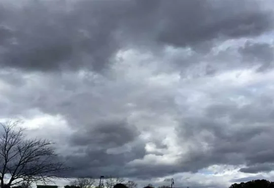 Jharkhand districts news | jharkhand latest news | jharkhand latest hindi news | jharkhand news box bharat