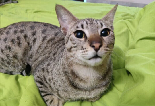 national news | national latest news | national latest hindi news | national news box bharat