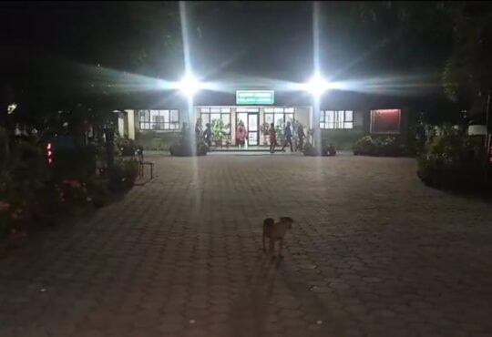 Jharkhand districts news | jharkhand latest news | jharkhand latest hindi news | jharkhand news box bharat