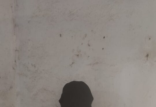 Jharkhand districts news | jharkhand latest news | jharkhand latest hindi news | jharkhand news box bharat