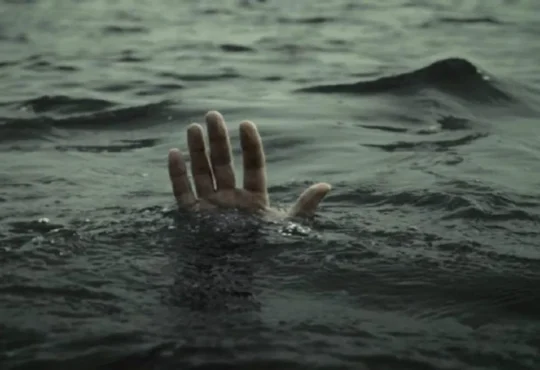 Jharkhand districts news | jharkhand latest news | jharkhand latest hindi news | jharkhand news box bharat