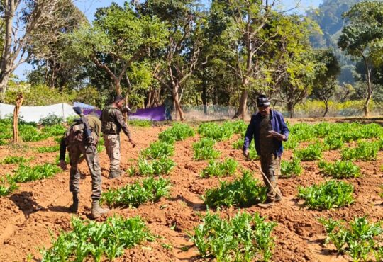 Jharkhand districts news | jharkhand latest news | jharkhand latest hindi news | jharkhand news box bharat