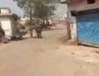 Jharkhand districts news | jharkhand latest news | jharkhand latest hindi news | jharkhand news box bharat