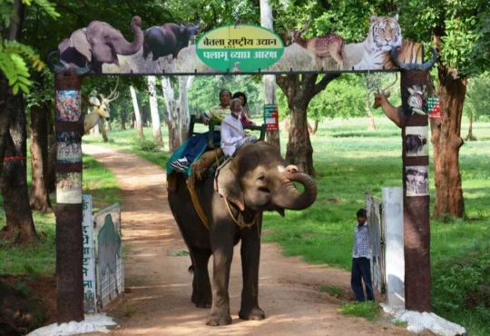 Jharkhand districts news | jharkhand latest news | jharkhand latest hindi news | jharkhand news box bharat