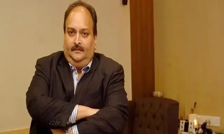national news | national latest news | national latest hindi news | national news box bharat
