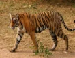Jharkhand districts news | jharkhand latest news | jharkhand latest hindi news | jharkhand news box bharat