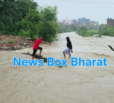 Jharkhand districts news | jharkhand latest news | jharkhand latest hindi news | jharkhand news box bharat