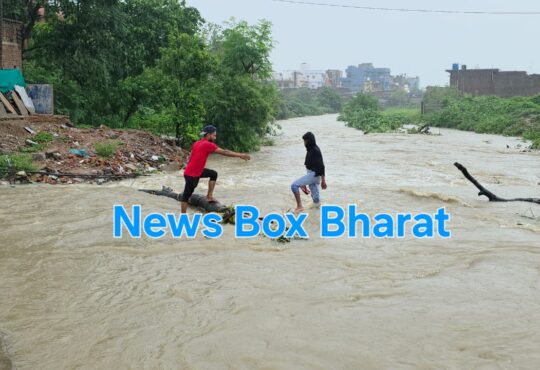 Jharkhand districts news | jharkhand latest news | jharkhand latest hindi news | jharkhand news box bharat