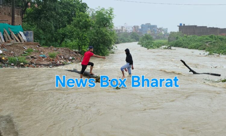 Jharkhand districts news | jharkhand latest news | jharkhand latest hindi news | jharkhand news box bharat