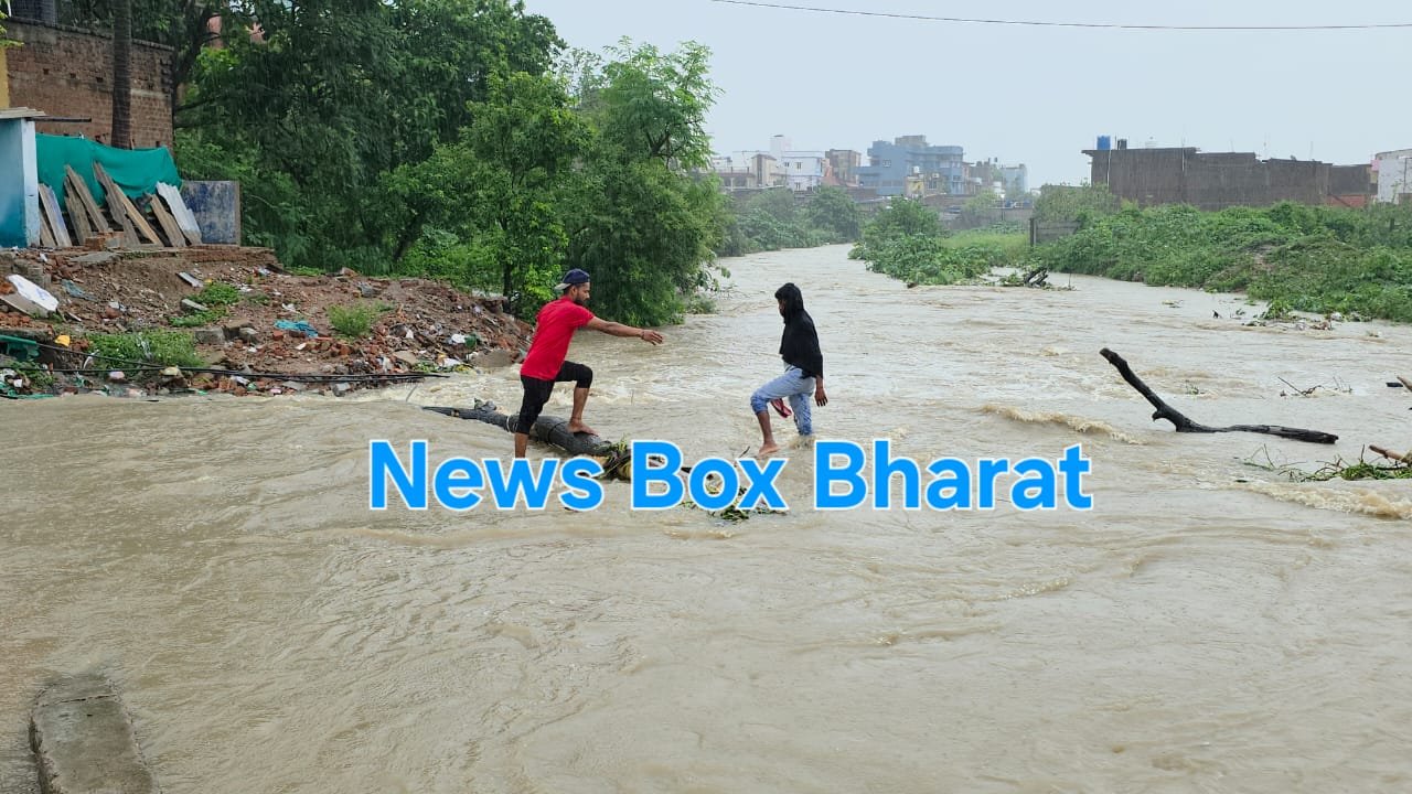 Jharkhand districts news | jharkhand latest news | jharkhand latest hindi news | jharkhand news box bharat