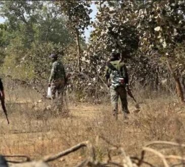 Jharkhand districts news | jharkhand latest news | jharkhand latest hindi news | jharkhand news box bharat