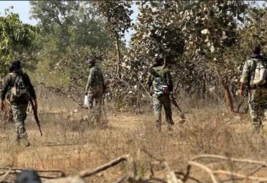 Jharkhand districts news | jharkhand latest news | jharkhand latest hindi news | jharkhand news box bharat