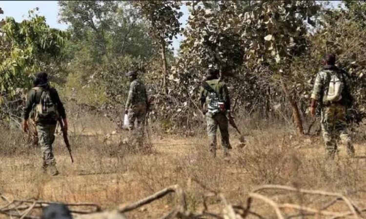 Jharkhand districts news | jharkhand latest news | jharkhand latest hindi news | jharkhand news box bharat