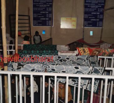 international sports news | international sports latest news | international sports latest hindi news | international sports news box bharat