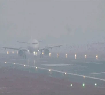 Jharkhand districts news | jharkhand latest news | jharkhand latest hindi news | jharkhand news box bharat