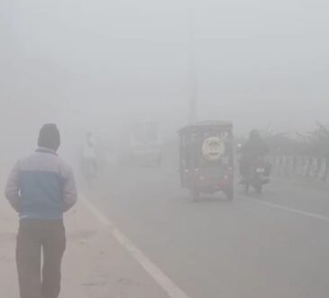 Jharkhand districts news | jharkhand latest news | jharkhand latest hindi news | jharkhand news box bharat