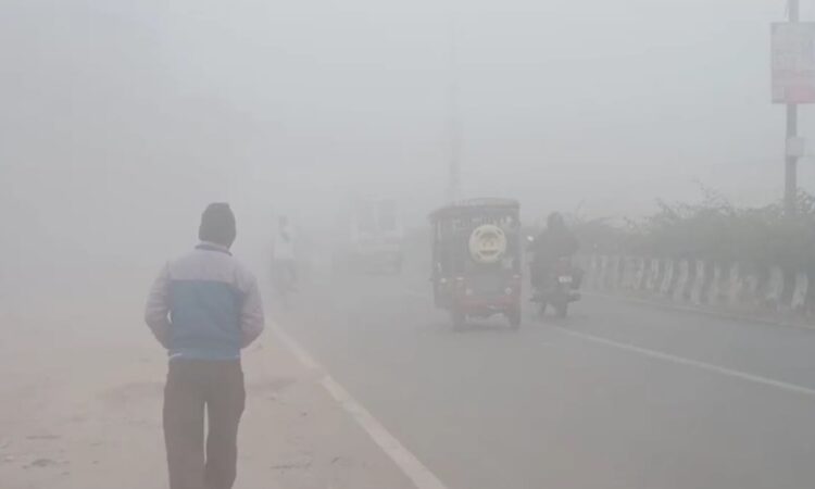 Jharkhand districts news | jharkhand latest news | jharkhand latest hindi news | jharkhand news box bharat