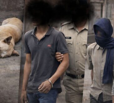 धुर्वा शालीमार बाजार में कुत्ते के साथ क्रूरता के मामले में पुलिस कार्रवाई की प्रतीकात्मक तस्वीर