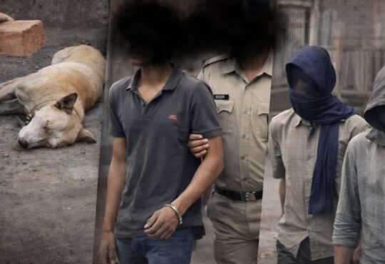 धुर्वा शालीमार बाजार में कुत्ते के साथ क्रूरता के मामले में पुलिस कार्रवाई की प्रतीकात्मक तस्वीर