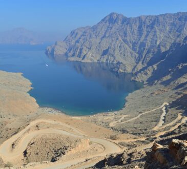 international news | international news latest news | international news latest hindi news | international news news box bharat