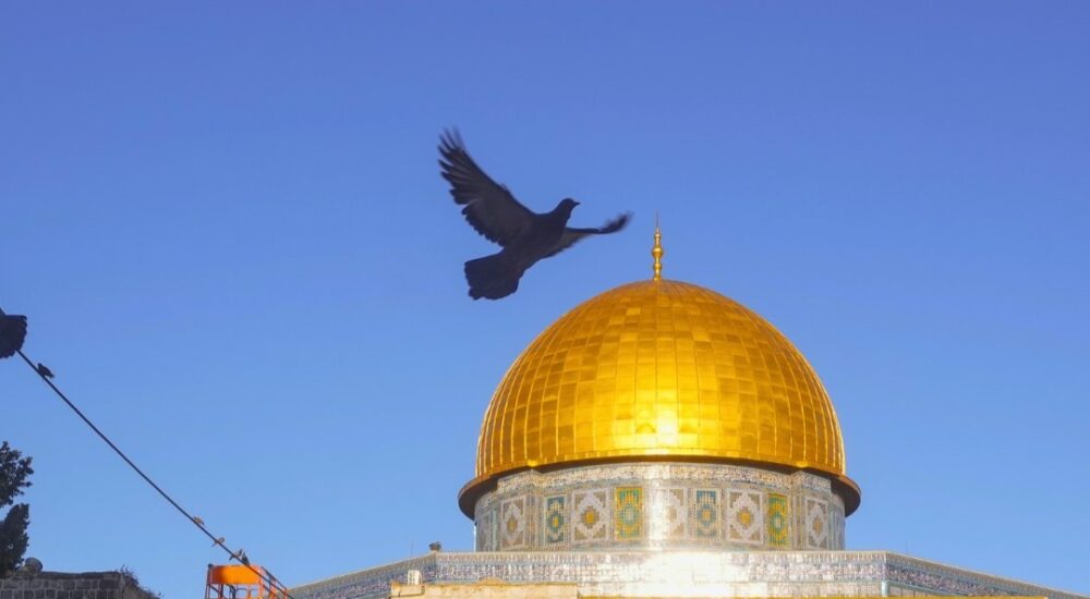 अल-अक्सा मस्जिद के दोबारा खुलने के बाद नमाज अदा करने पहुंचे श्रद्धाल