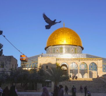 अल-अक्सा मस्जिद के दोबारा खुलने के बाद नमाज अदा करने पहुंचे श्रद्धाल