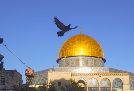 अल-अक्सा मस्जिद के दोबारा खुलने के बाद नमाज अदा करने पहुंचे श्रद्धाल