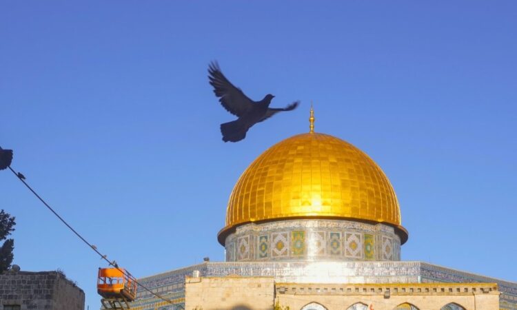 अल-अक्सा मस्जिद के दोबारा खुलने के बाद नमाज अदा करने पहुंचे श्रद्धाल