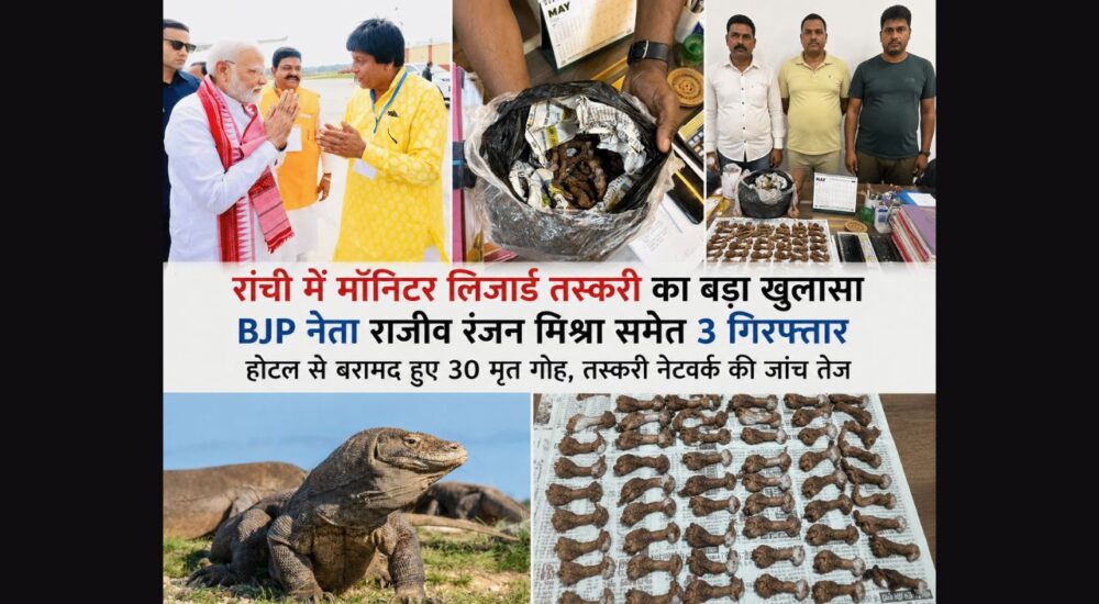 रांची के नटराज होटल से बरामद मॉनिटर लिजार्ड, वन विभाग की कार्रवाई और आरोपी राजीव रंजन मिश्रा की तस्वीररांची में मॉनिटर लिजार्ड तस्करी का बड़ा खुलासा, होटल से 30 मृत गोह बरामद, BJP नेता राजीव रंजन मिश्रा गिरफ्तार