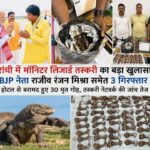रांची के नटराज होटल से बरामद मॉनिटर लिजार्ड, वन विभाग की कार्रवाई और आरोपी राजीव रंजन मिश्रा की तस्वीररांची में मॉनिटर लिजार्ड तस्करी का बड़ा खुलासा, होटल से 30 मृत गोह बरामद, BJP नेता राजीव रंजन मिश्रा गिरफ्तार