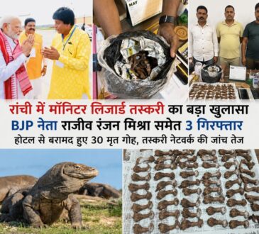 रांची के नटराज होटल से बरामद मॉनिटर लिजार्ड, वन विभाग की कार्रवाई और आरोपी राजीव रंजन मिश्रा की तस्वीररांची में मॉनिटर लिजार्ड तस्करी का बड़ा खुलासा, होटल से 30 मृत गोह बरामद, BJP नेता राजीव रंजन मिश्रा गिरफ्तार