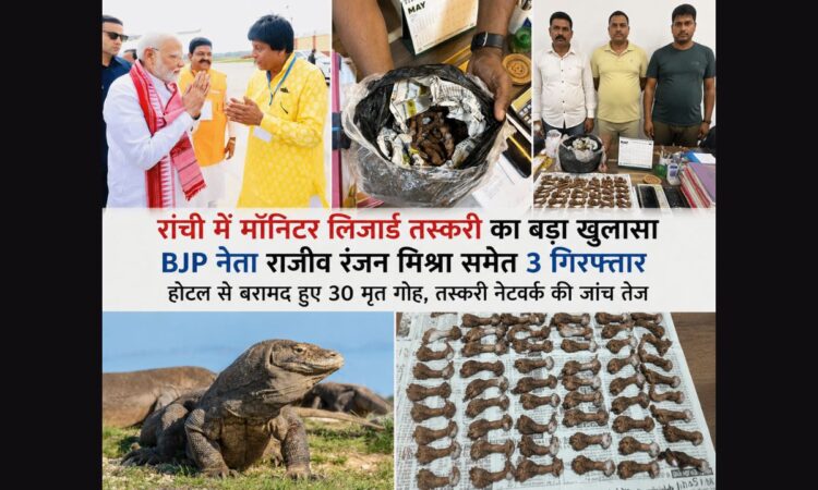 रांची के नटराज होटल से बरामद मॉनिटर लिजार्ड, वन विभाग की कार्रवाई और आरोपी राजीव रंजन मिश्रा की तस्वीररांची में मॉनिटर लिजार्ड तस्करी का बड़ा खुलासा, होटल से 30 मृत गोह बरामद, BJP नेता राजीव रंजन मिश्रा गिरफ्तार