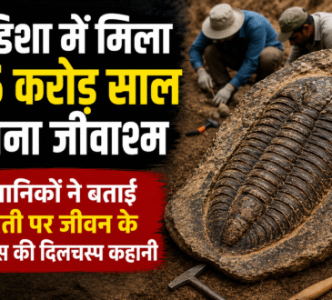 ओडिशा में मिले 1.5 करोड़ वर्ष पुराने जीवाश्म की वैज्ञानिक जांच, प्राचीन जीवों के अवशेषों से धरती पर जीवन के विकास के नए संकेत मिले।