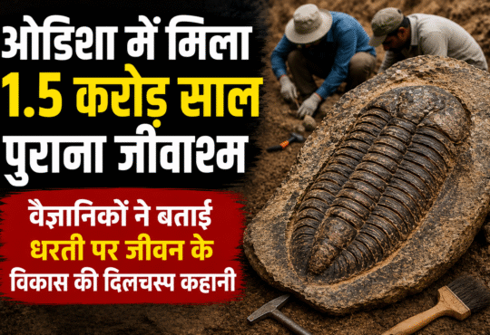 ओडिशा में मिले 1.5 करोड़ वर्ष पुराने जीवाश्म की वैज्ञानिक जांच, प्राचीन जीवों के अवशेषों से धरती पर जीवन के विकास के नए संकेत मिले।