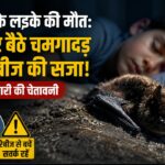 पेड़ पर बैठा चमगादड़ की सांकेतिक तस्वीर, कनाडा में 11 साल के लड़के की रेबीज से मौत और Bat Rabies Awareness से जुड़ी खबर।