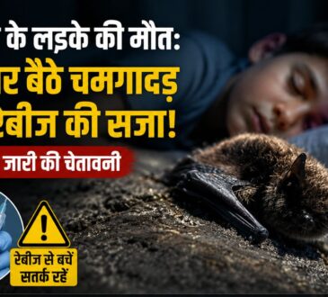 पेड़ पर बैठा चमगादड़ की सांकेतिक तस्वीर, कनाडा में 11 साल के लड़के की रेबीज से मौत और Bat Rabies Awareness से जुड़ी खबर।