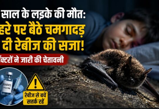 पेड़ पर बैठा चमगादड़ की सांकेतिक तस्वीर, कनाडा में 11 साल के लड़के की रेबीज से मौत और Bat Rabies Awareness से जुड़ी खबर।