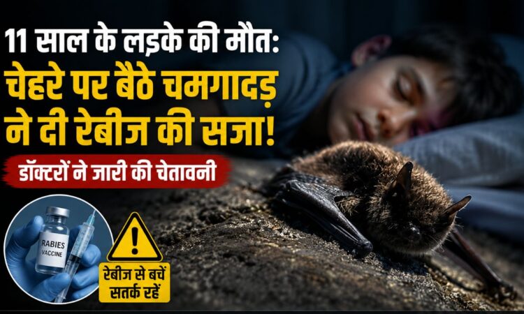 पेड़ पर बैठा चमगादड़ की सांकेतिक तस्वीर, कनाडा में 11 साल के लड़के की रेबीज से मौत और Bat Rabies Awareness से जुड़ी खबर।
