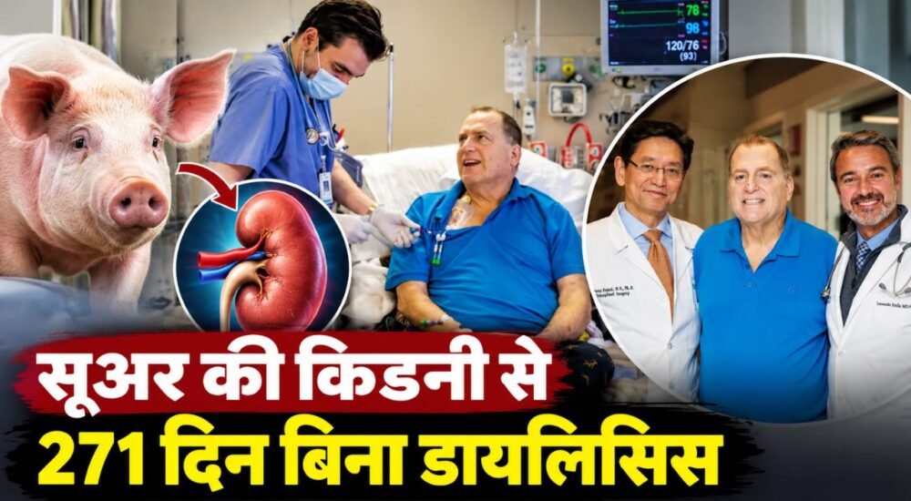 जेनेटिकली एडिटेड सूअर की किडनी से इंसान में ट्रांसप्लांट और मेडिकल साइंस की नई उपलब्धि का प्रतिनिधित्व करती तस्वीर।