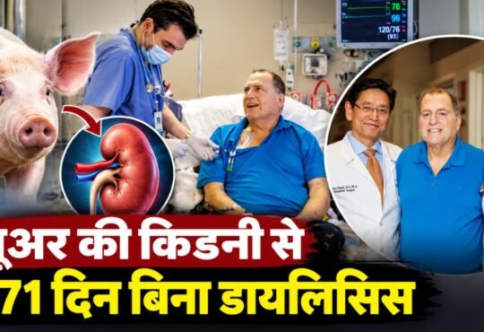 जेनेटिकली एडिटेड सूअर की किडनी से इंसान में ट्रांसप्लांट और मेडिकल साइंस की नई उपलब्धि का प्रतिनिधित्व करती तस्वीर।