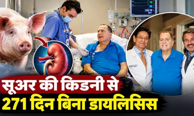 जेनेटिकली एडिटेड सूअर की किडनी से इंसान में ट्रांसप्लांट और मेडिकल साइंस की नई उपलब्धि का प्रतिनिधित्व करती तस्वीर।