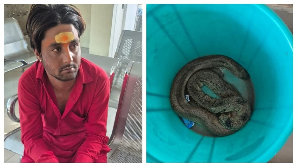 रांची के लालपुर थाना क्षेत्र में बरामद दुर्लभ रेड सैंड बोआ सांप, मामले की जांच में जुटी पुलिस और वन विभाग की टीम