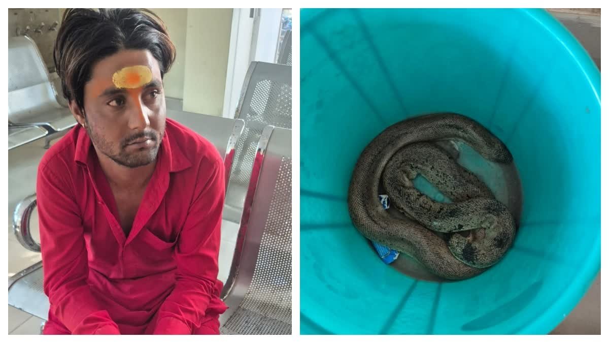 रांची के लालपुर थाना क्षेत्र में बरामद दुर्लभ रेड सैंड बोआ सांप, मामले की जांच में जुटी पुलिस और वन विभाग की टीम